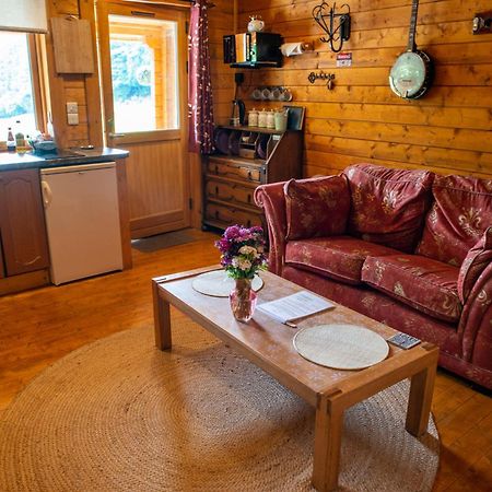 Blossom Cabin - Little Log Cabin In Wales Newtown  Bagian luar foto