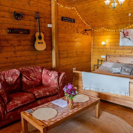 Blossom Cabin - Little Log Cabin In Wales Newtown  Bagian luar foto