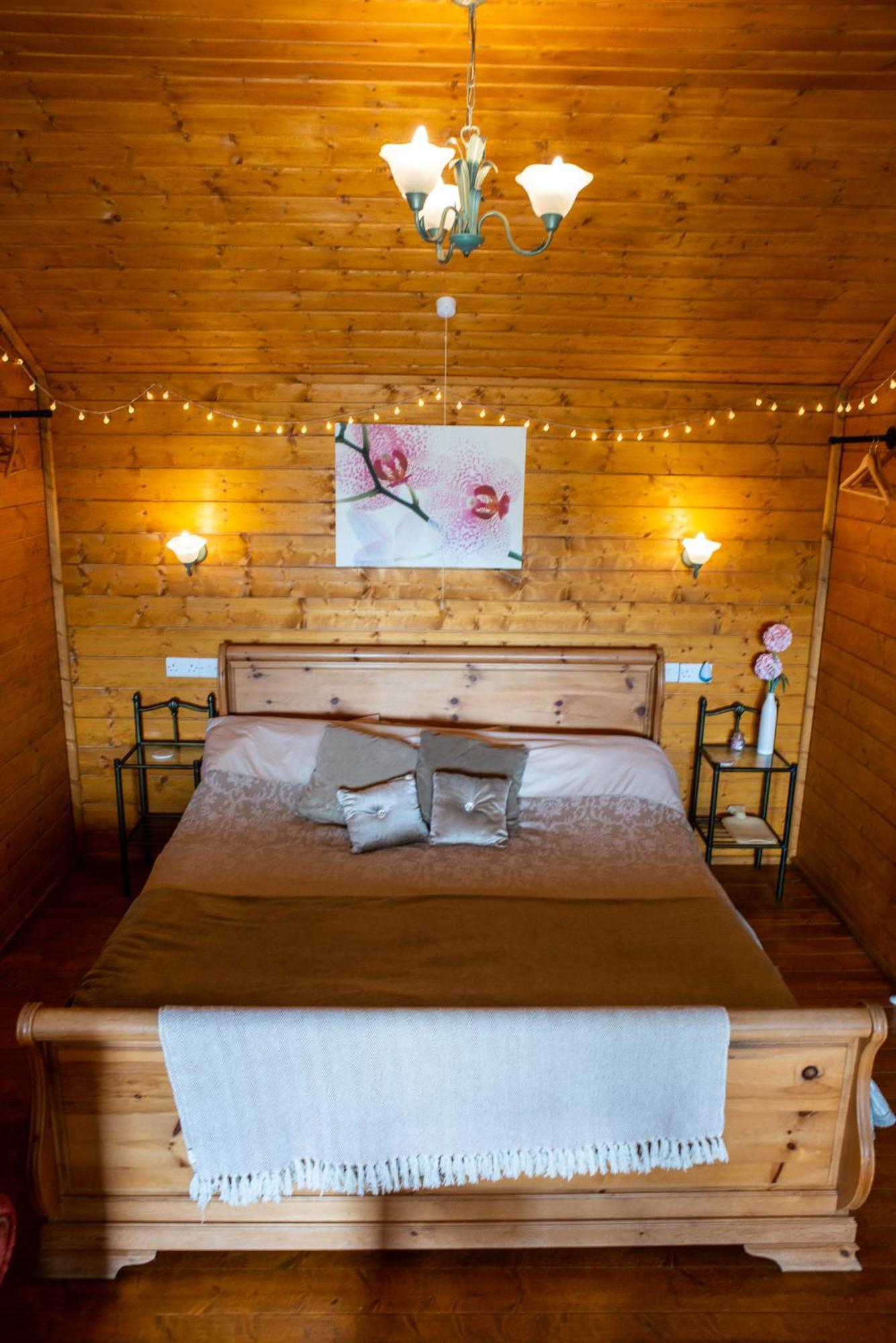 Blossom Cabin - Little Log Cabin In Wales Newtown  Bagian luar foto