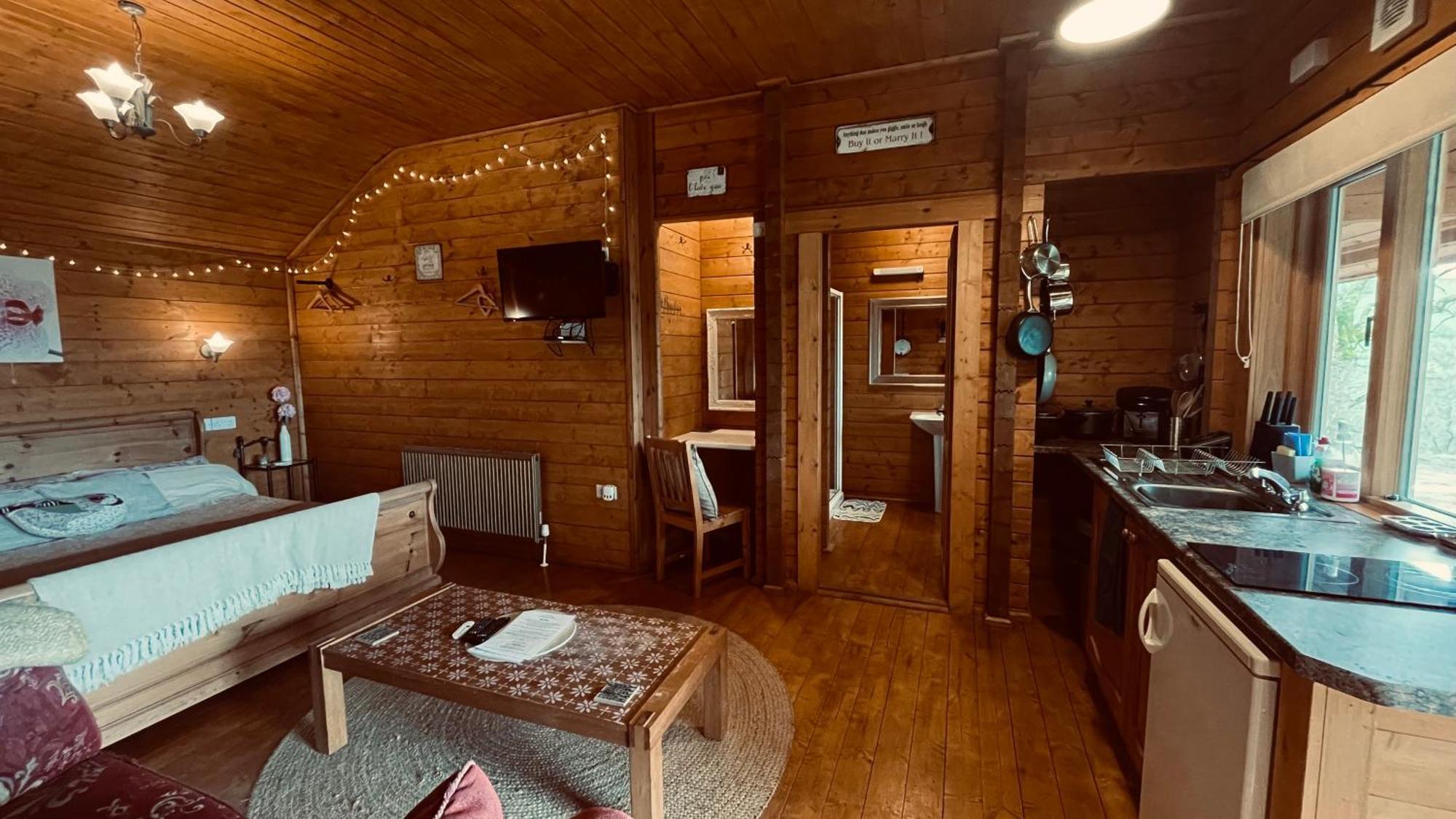 Blossom Cabin - Little Log Cabin In Wales Newtown  Bagian luar foto
