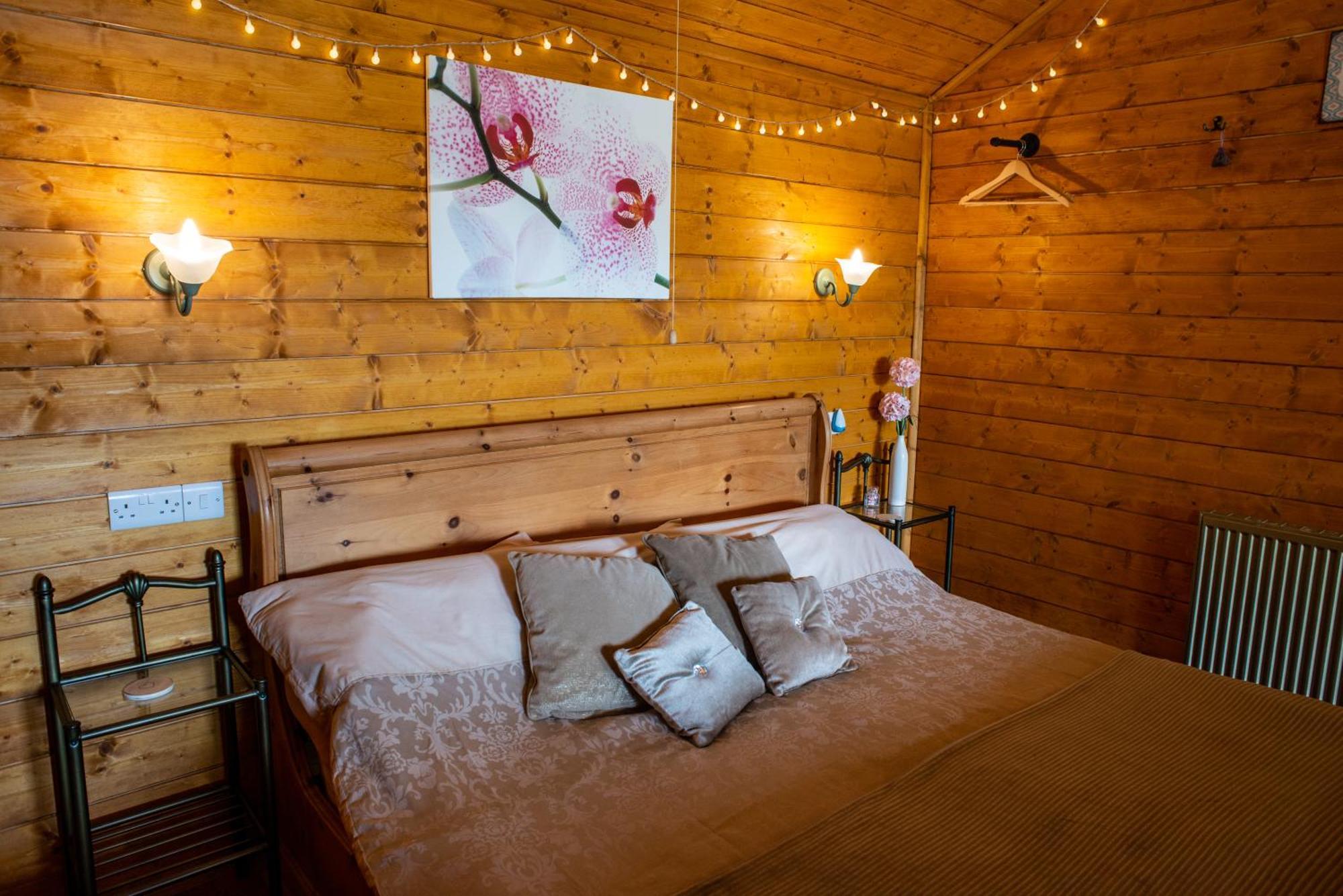 Blossom Cabin - Little Log Cabin In Wales Newtown  Bagian luar foto